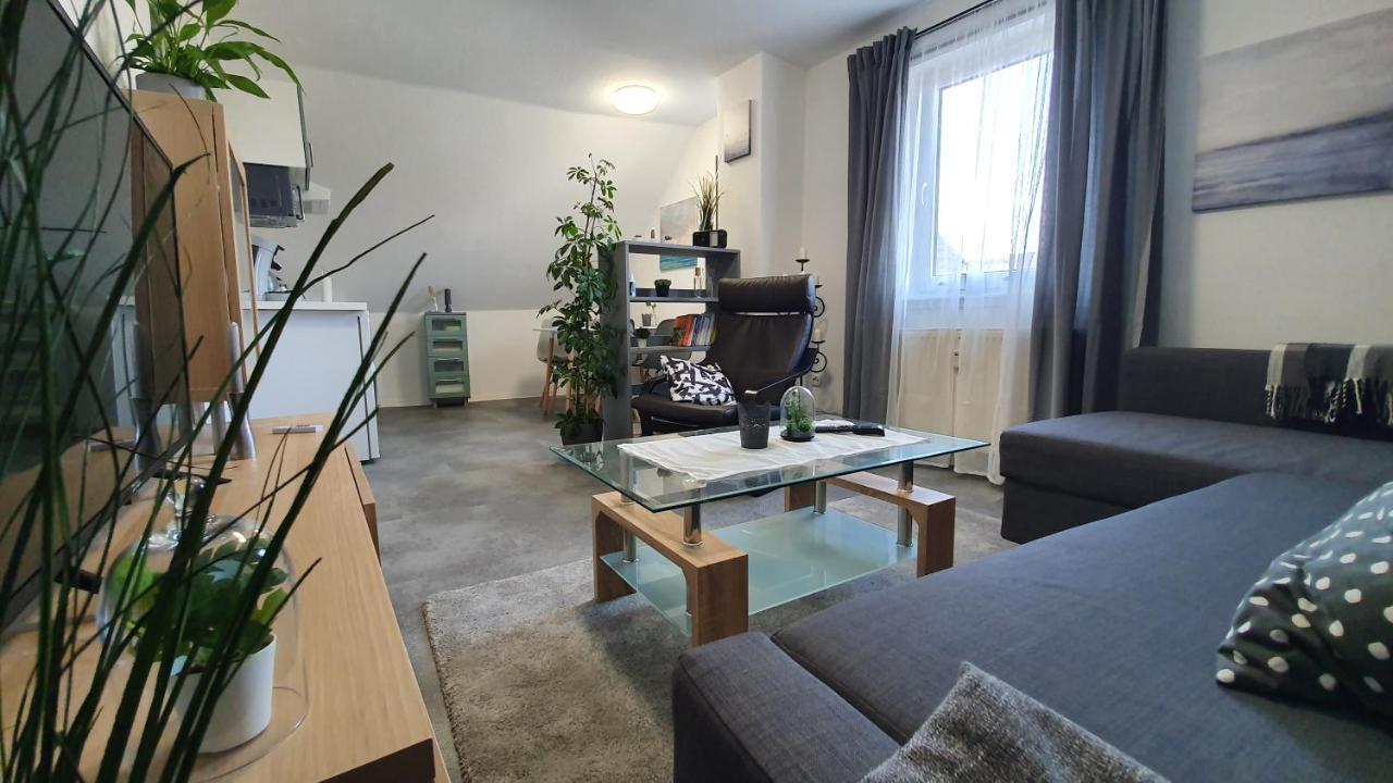 Ferienwohnung Elsa Hungen Dış mekan fotoğraf